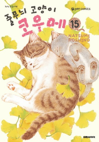 줄무늬 고양이 코우메 15