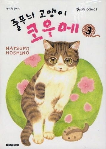 줄무늬 고양이 코우메 03