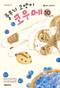 줄무늬 고양이 코우메 10