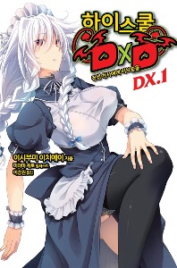 노블소설- 하이스쿨 DXD DX 01