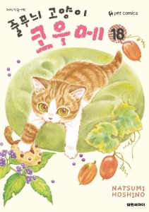 줄무늬 고양이 코우메 18